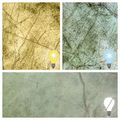 Translucent Rainforest Green