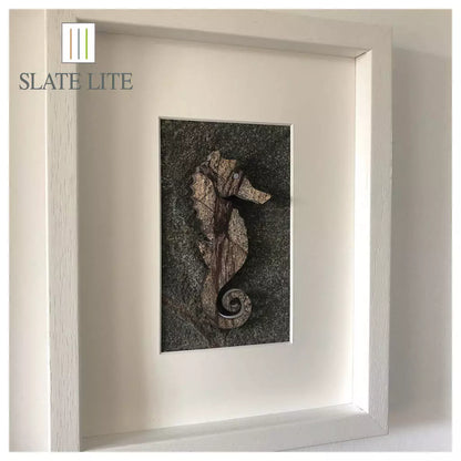 Slate-Lite Rainforest Brown
