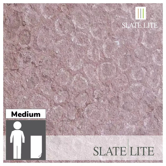 Slate-Lite Red Shell