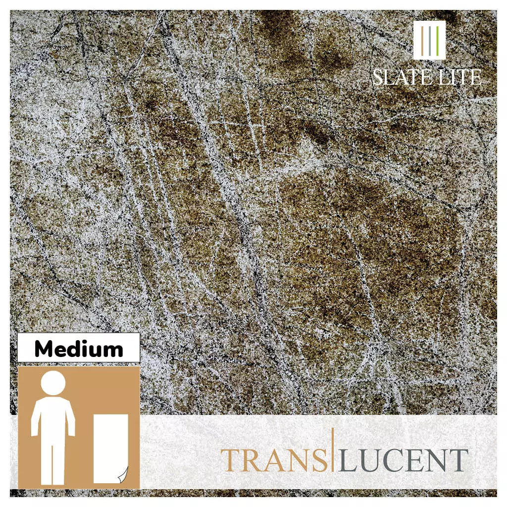 Translucent Rainforest Brown