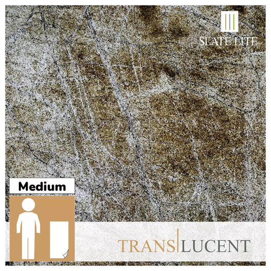 Translucent Rainforest Brown