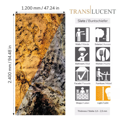 Translucent Blanco